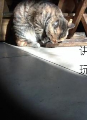 讲玩