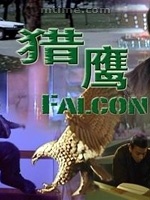 猎鹰Falcon