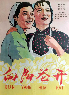 向阳花开Xiang yang hua kai