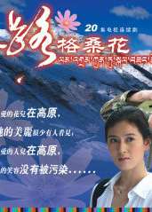 一路格桑花Yi Lu Ge Sang Hua