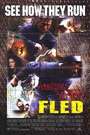 电子大盗Fled