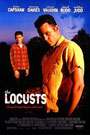 激情黑寡妇The Locusts