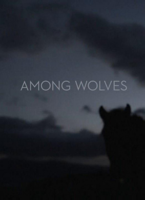 狼群Among Wolves