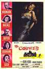阴谋The Cobweb