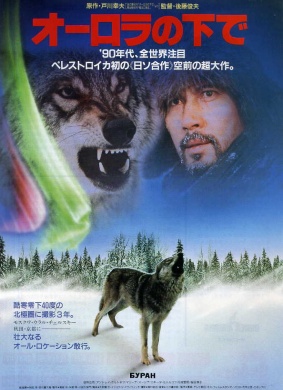 极光下Pod severnym siyaniyem Aurora Borealis