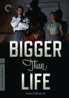 高于生活Bigger Than Life